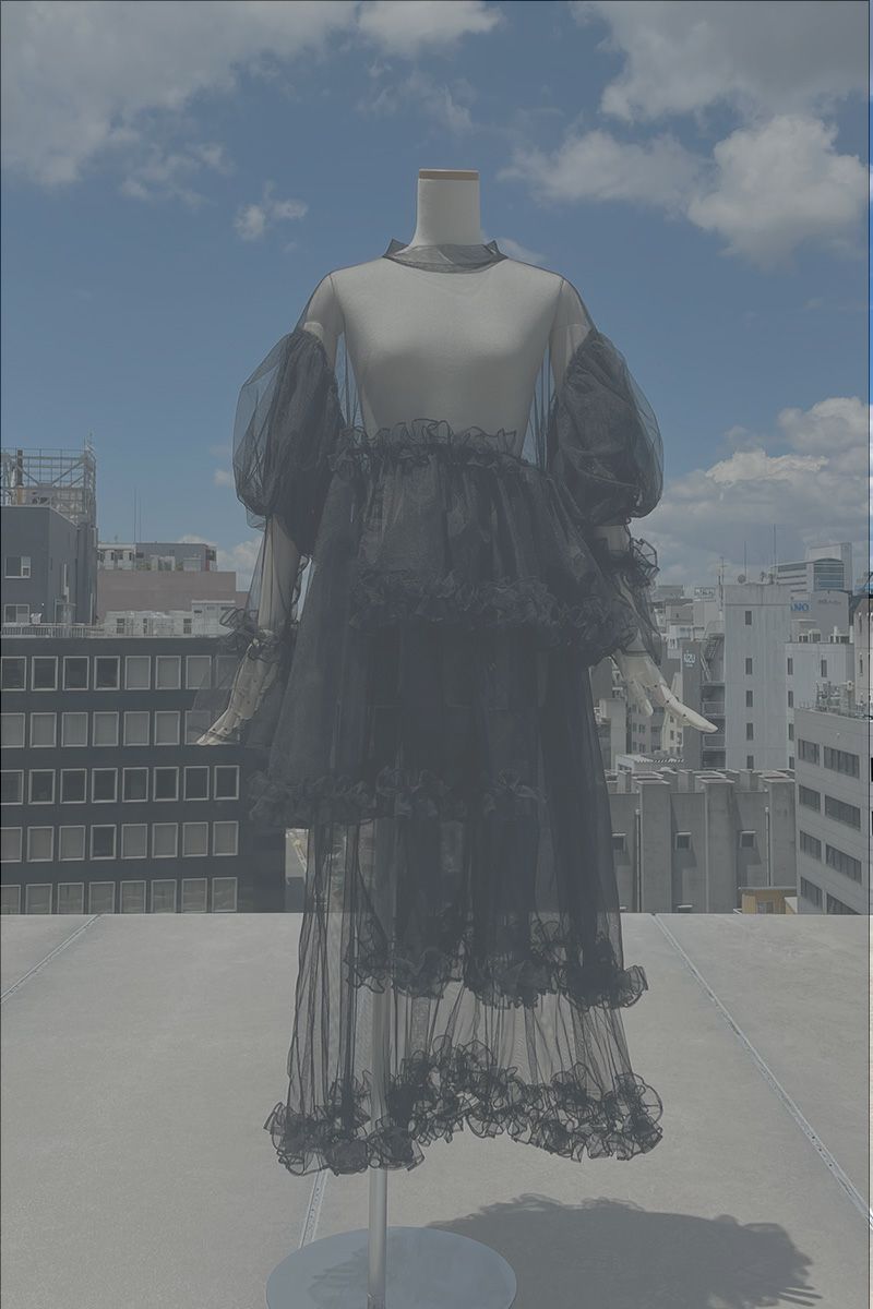 FRILLY PIXY DRESS/BLACK | CEREΛL